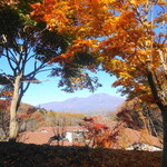 LE GRAND - Autumn Leaves and Mount Asama