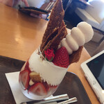 ハスネテラス - 