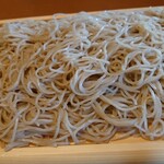 Tenryuu Soba Shoufuuan - 