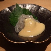 土佐料理 司 高知本店 - どろめ
