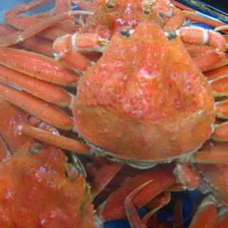 さつま珍味 隆盛_1