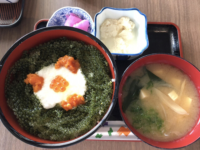 元祖 海ぶどう 恩納村 丼もの その他 食べログ 元祖 海ぶどう 恩納村 丼もの その他 食べログ