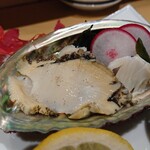 宮城の魚と赤酢のお寿司 魚が肴 - 三陸初物(石巻産)あわび造り