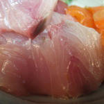 お食事処 魚がしおき - 