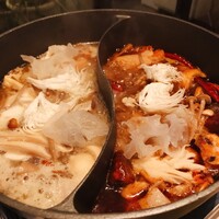CINA New Modern Chinese - 