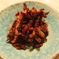 CINA New Modern Chinese - 