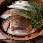 地魚料理 丸長 - 