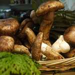 旨い料理・旨い酒 じょうじ - 立派な松茸