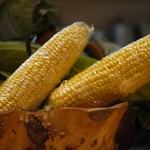 旨い料理・旨い酒 じょうじ - 旬の食材がいっぱいです。