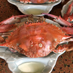 はま美本館 - 渡り蟹　オス