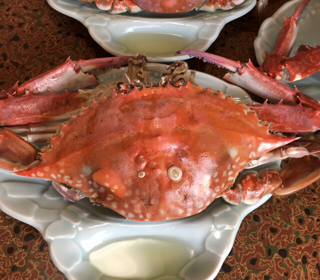 はま美本館 南知多町その他 魚介料理 海鮮料理 食べログ はま美本館 南知多町その他 魚介料理 海鮮料理 食べログ