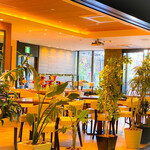 Kaila Cafe & Terrace Dining - 