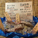 Gyokai Itarian Sakaba Sachiare - 入口でお出迎えのお魚達