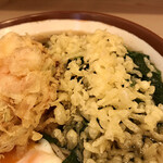 そばの神田 東一屋 - 揚げ玉ブチまけろ！  #BCMKR!