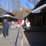 丸山珈琲  - ハルニレテラス