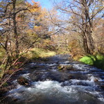 丸山珈琲  - 星野エリア