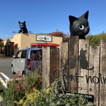 Chat noir - 