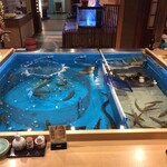 うず潮屋 - 店内は生簀