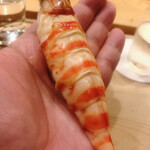 鮨 しゅん輔 - 天然の車海老