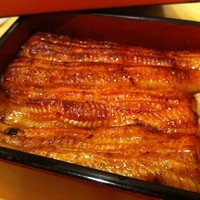 宮川本廛 赤坂宮川 - いろはの「ろ」。只今3990円