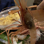 旬酔基じ - 大きなボタン海老♬︎