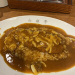 カレー専門店 白銀亭  - 