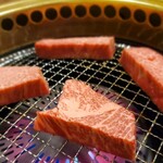 焼肉 野崎 - 特選ステーキ　ヒレ