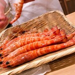 鮨 しゅん輔 阿佐ヶ谷 - 