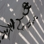 らぁ麺 めん奏心 - 