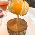 プレヴナンス - 