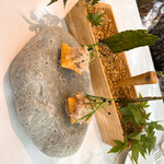 プレヴナンス - 