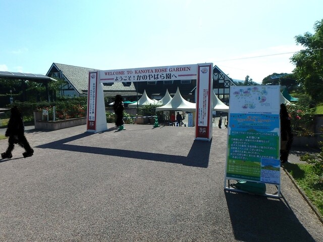 かのやばら園 ローズダイナー 鹿屋市その他 カフェ 食べログ かのやばら園 ローズダイナー 鹿屋市その他 カフェ 食べログ