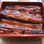 うなぎ亭 友栄 - うな重(よく焼き)