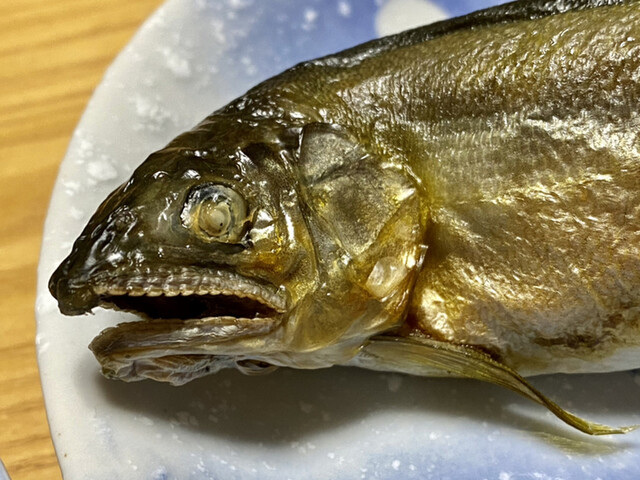 鯉だけじゃない 鮎もあるよ By Dデルタd 加藤鯉店 カトウコイテン 屋代 その他 食べログ