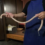 らぶた - 生ソーセージ…1300円+税