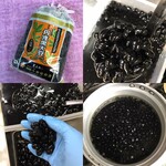 Homemade "bottled Tamba black soybeans"