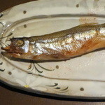 産直屋 たか - 北海道むかわの本ししゃも