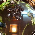 島おでん たから - 1000円『イカの墨汁』2012年5月吉日