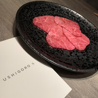 USHIGORO S. GINZA - 