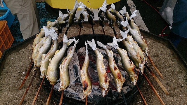 どりいむ農園直売所 - 鮎貝（その他）の写真