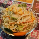 エベレスト ナンハウス＆バー - 山盛りサラダ  ドレッシングは酸味の強いドレッシング