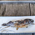 ヤマメの塩焼