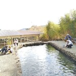 金太郎自然園 - 釣り場