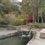 金太郎自然園 - 釣り場