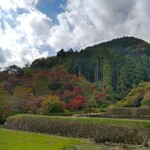 金太郎自然園 - 紅葉シーズン