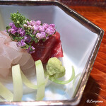 らん亭～ 美日庵 - 天然本鮪の赤身の造り