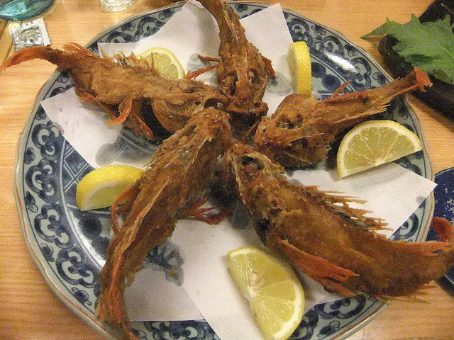 Yoidokoro Yoshida photo 3