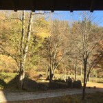 貝掛温泉 - 清々しい朝日に照らされた紅葉がまた美しい