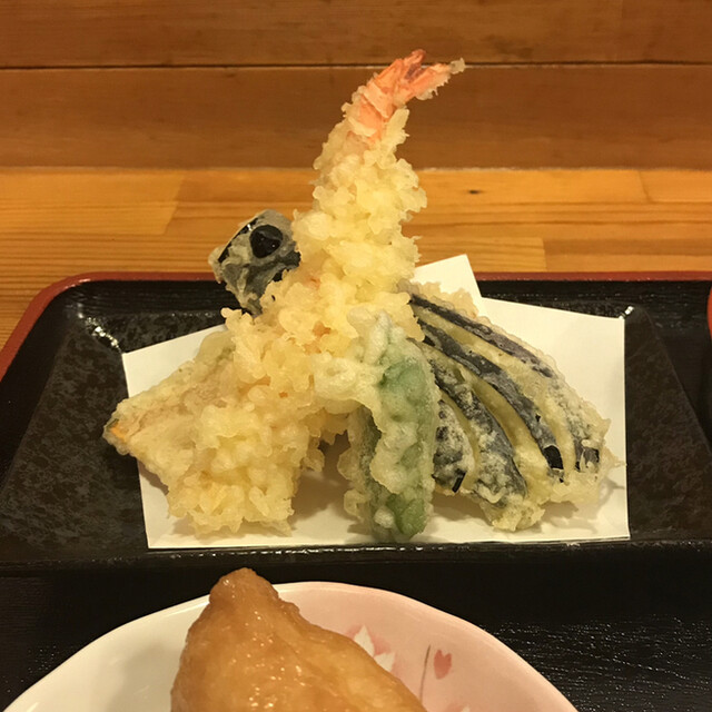 へぎそば居酒屋 猫坊主 岩槻 居酒屋 食べログ へぎそば居酒屋 猫坊主 岩槻 居酒屋 食べログ