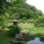 手打ちそば　極楽乃 - 